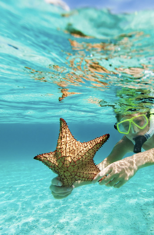 Snorkeling